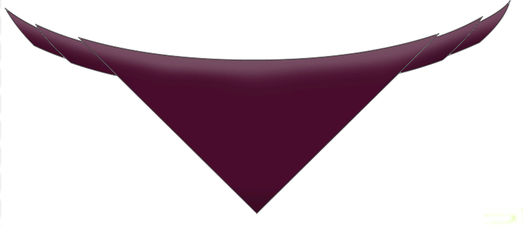 Marown Scouts Scarf